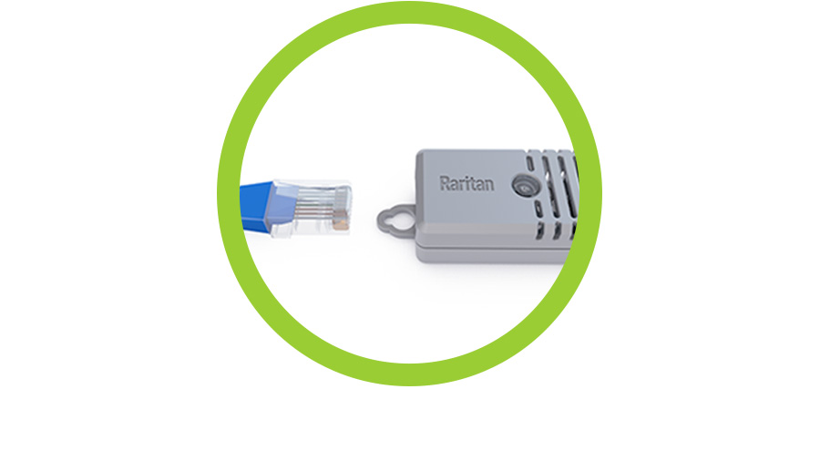 Dual RJ45 Connectors