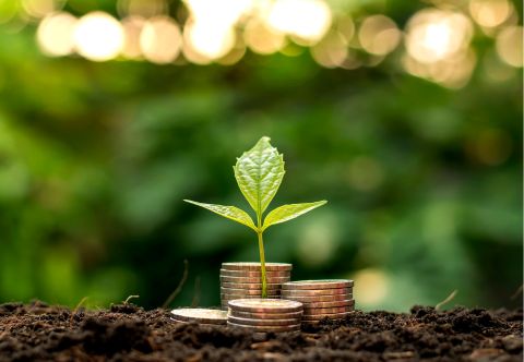 Continuous Savings