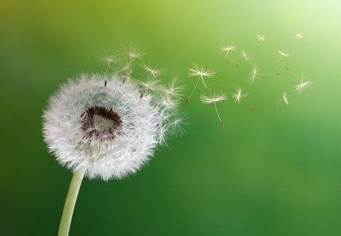 Sustainable, energy efficient data centers