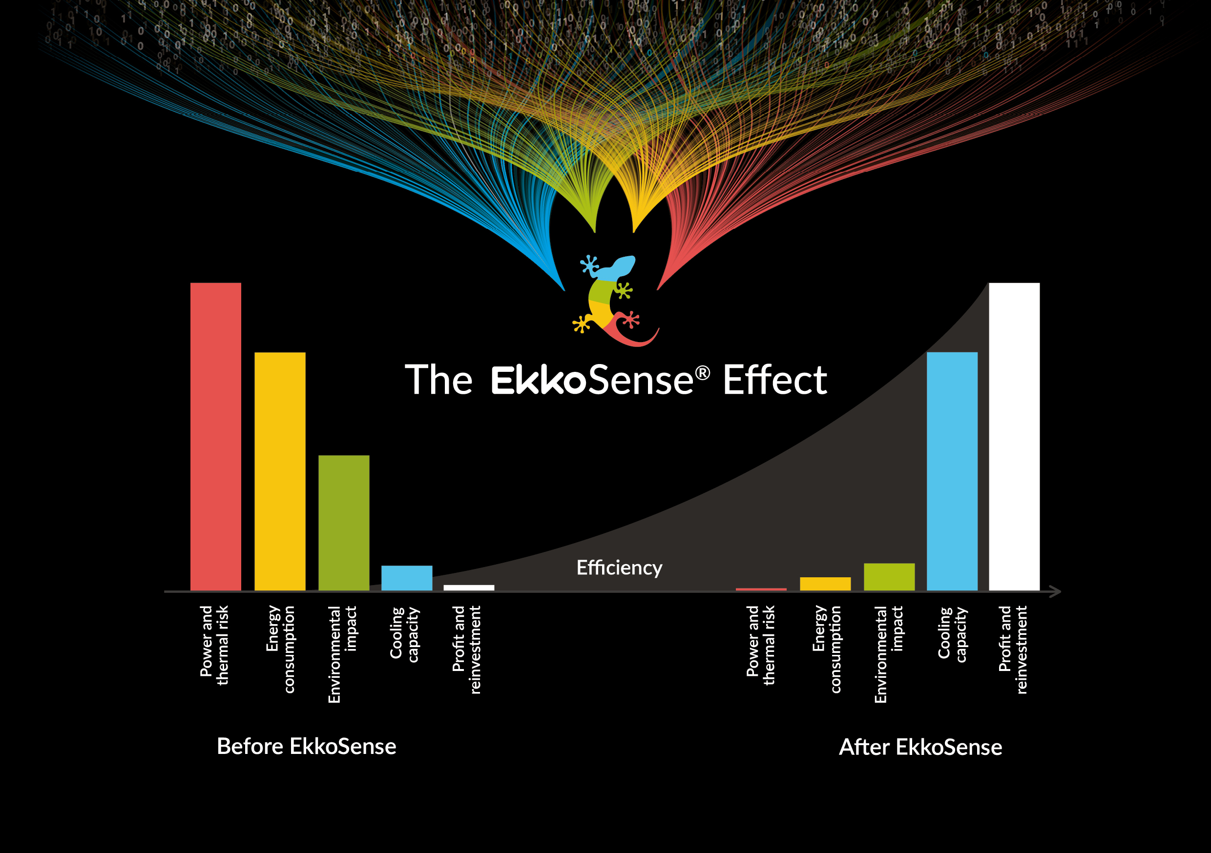 Ekkosense