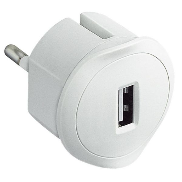 Accesorio Enchufable Cargador USB Legrand 