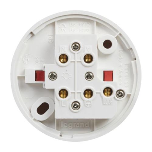 Es ceiling rose on sale