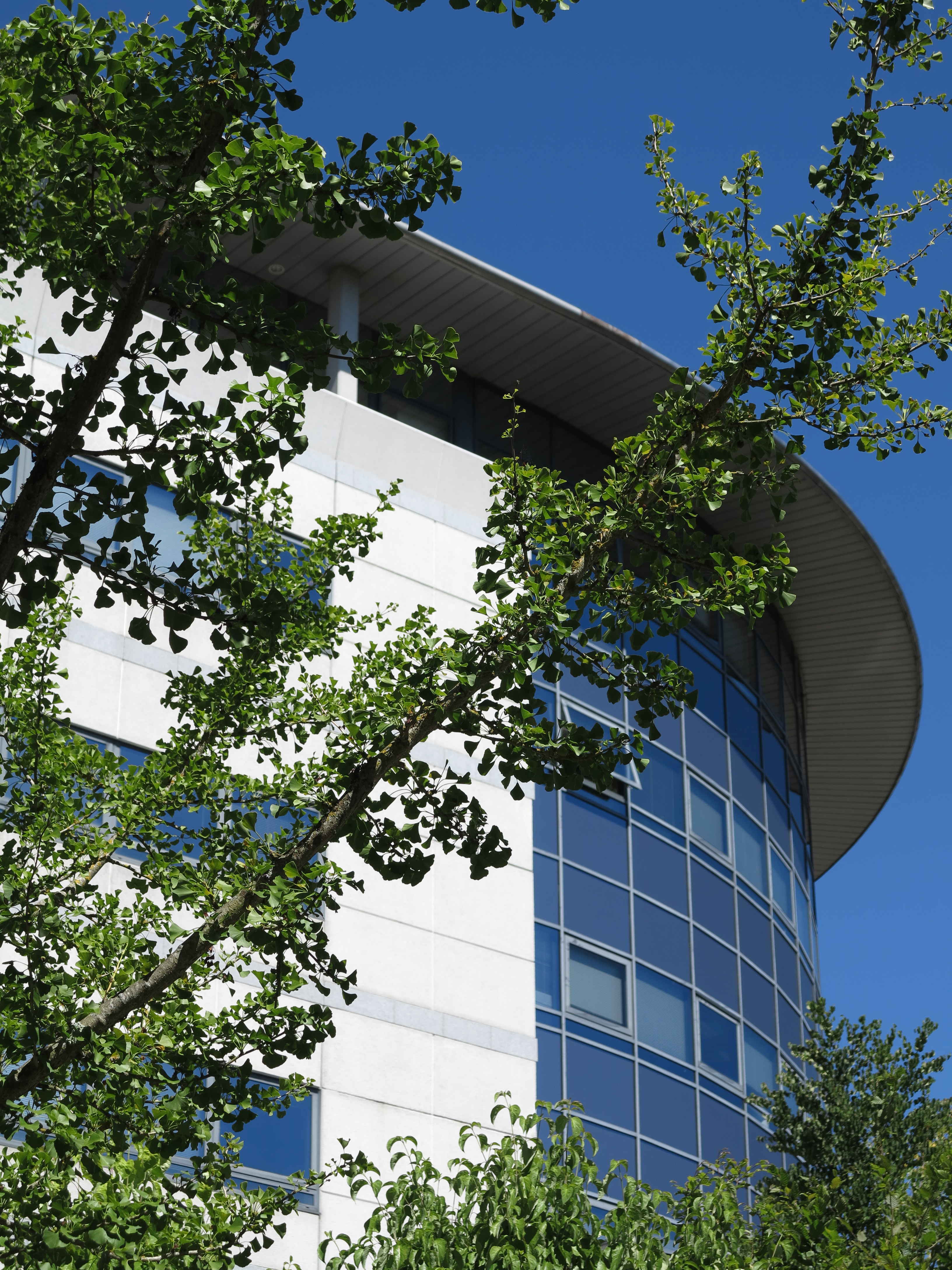 Media library Legrand